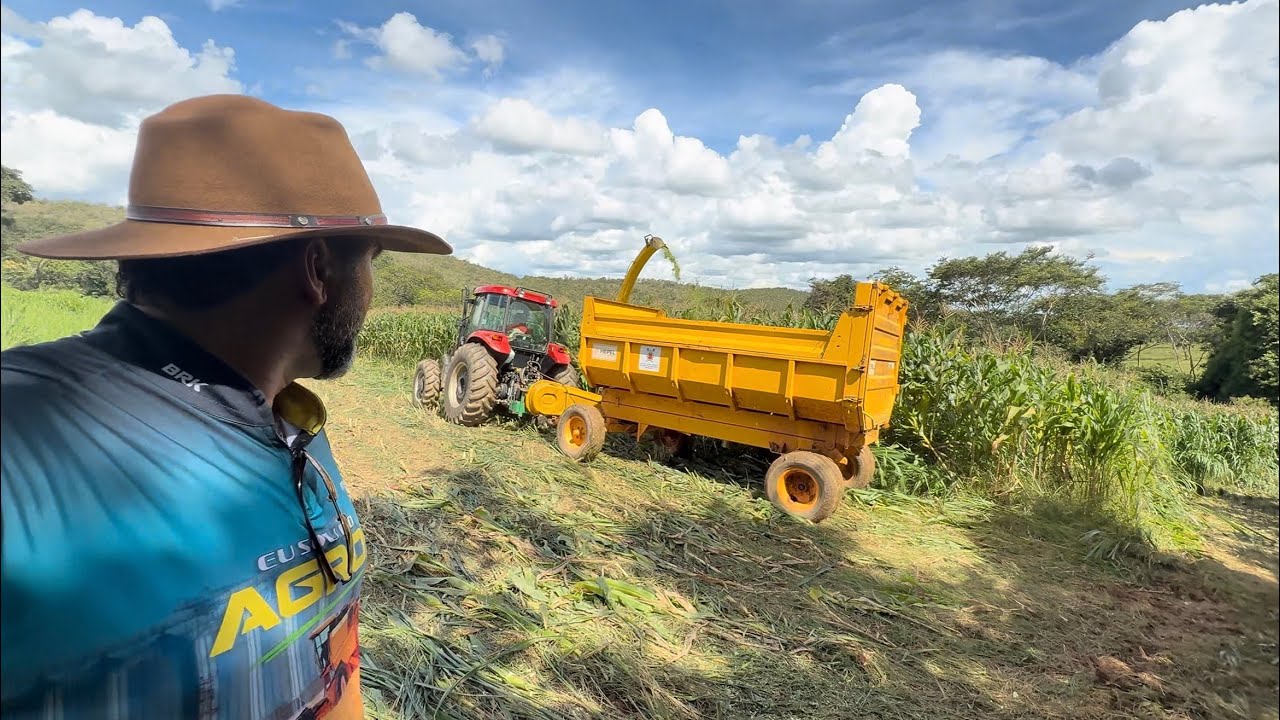 FAZENDO SILAGEM DE MILHO NO SÍTIO | TERRA PEQUENA : DIFÍCIL FOI SÓ AS MANOBRAS DO TRATOR 