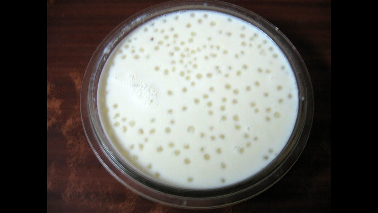 How to make Sabudana Kheer - Vyanjanbhartiya
