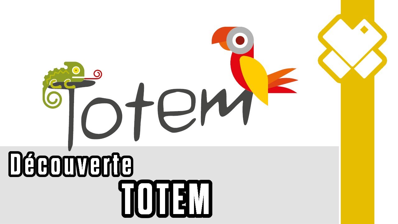 Totem : Le jeu qui vous veut du bien