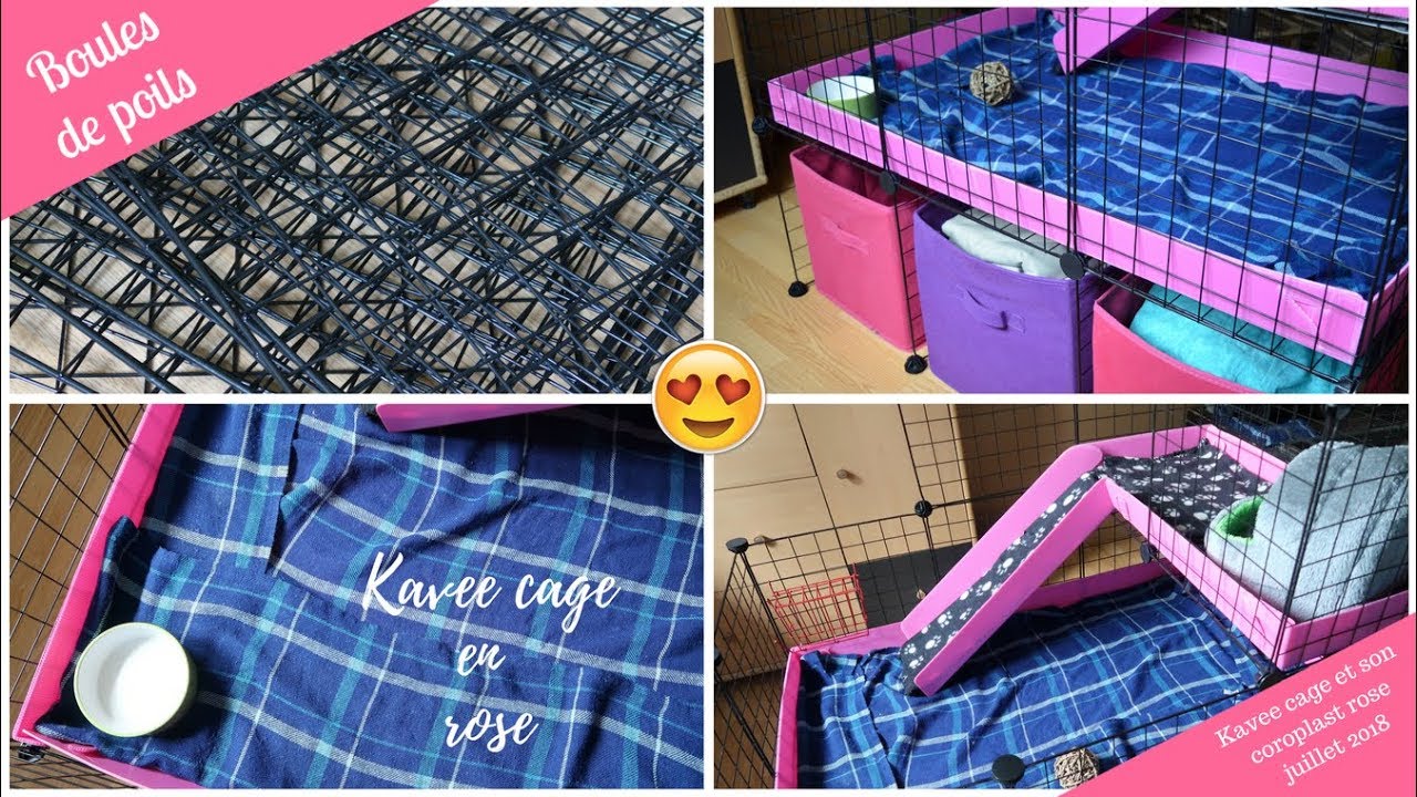 ➳ KAVEE CAGE VOIT LA VIE EN ROSE [ ♥ BOULES DE POILS ♥ ]