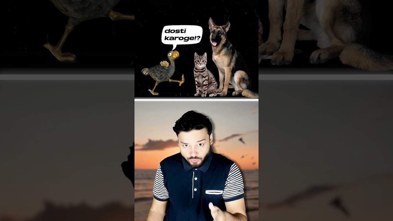 The SHOCKING Truth Behind DODO Bird's Extinction No One Talks About&nbsp;#shorts