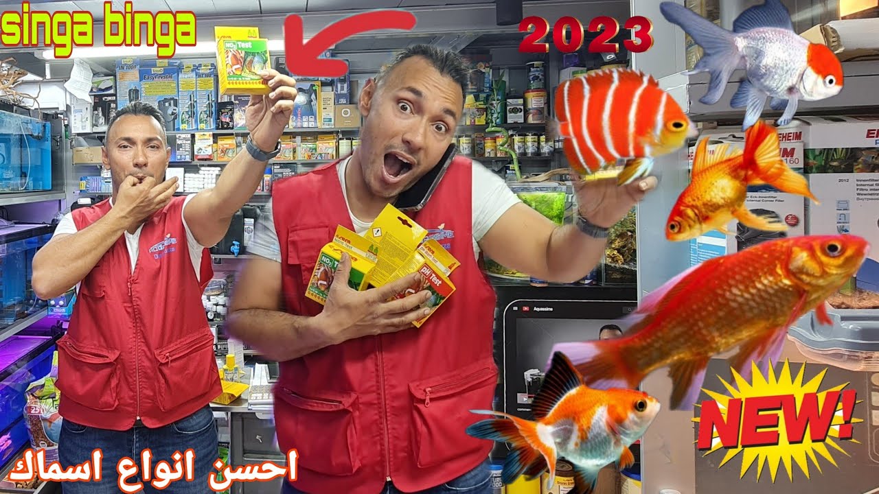 سوق القريعة بالدار البيضاء 🇲🇦 زيارة مفاجأة عند المولوع واستاذ رشيد واحسن معلومات علي اسماك الزينة 🐳🐬