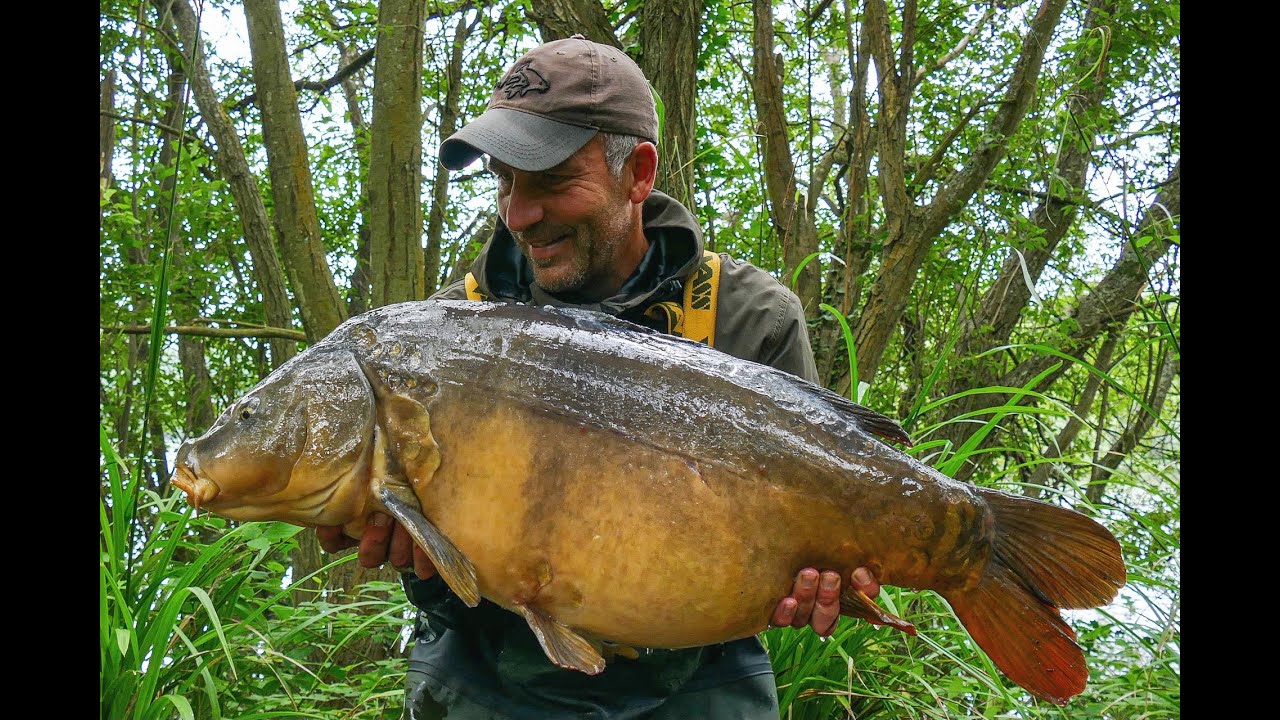 The Yateley CARP syndicate PART TWO
