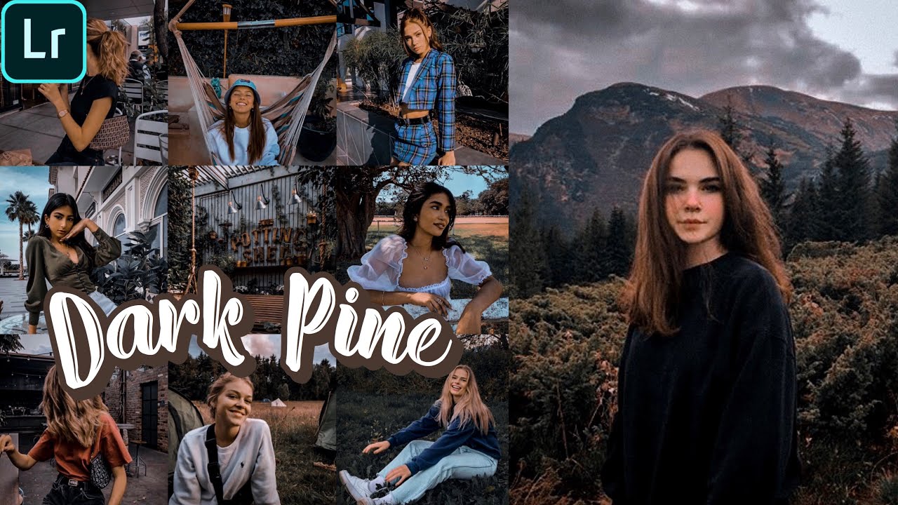 Dark Pine Preset | Lightroom Mobile Preset Tutorials Free DNG | Lightroom Presets