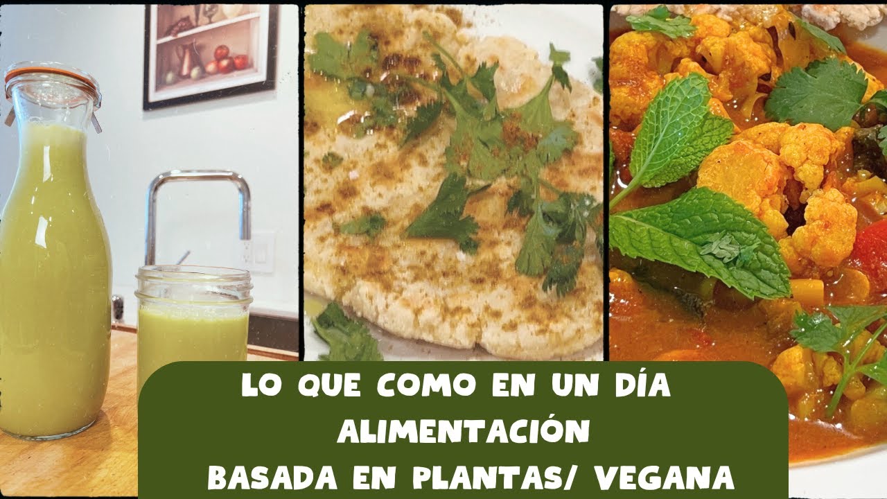 Lo que como en un día vegana alimentación Basada en Plantas