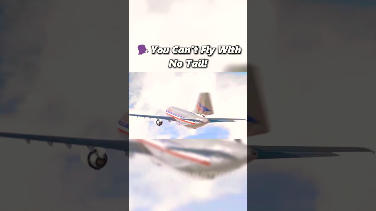 Planes Can't Fly Without A Tail Right? #Crash #Plane #Aviation #Edit