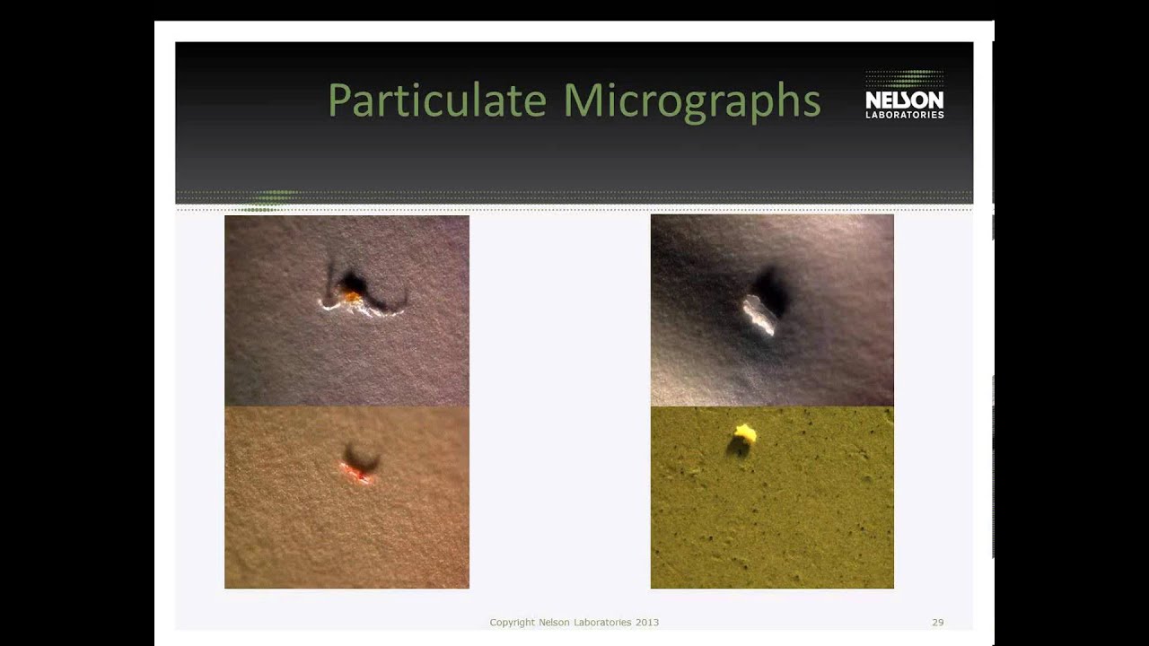 Particulates: Their Role in the Pharmaceutical Industry