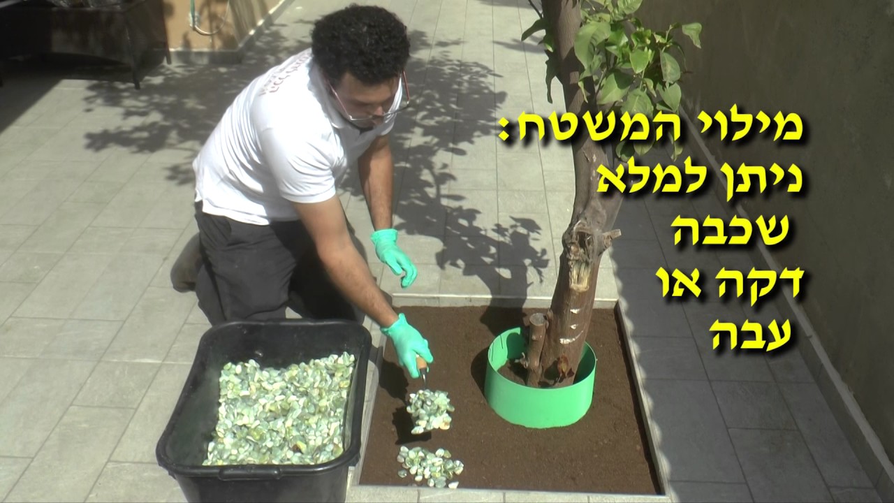 עשה זאת בעצמך - עיצוב גינה ומרפסת בקלות עם CERMABOND 200