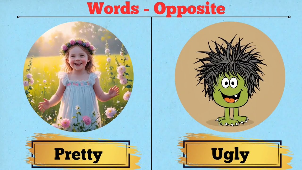 Common Opposite Words for Kids | Learn with Pictures | Antonyms