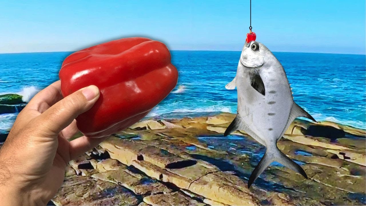 ME DISSERAM QUE ESSA ISCA É INFALÍVEL! Fui testar no costão…