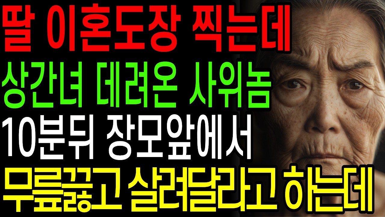 딸 이혼도장 찍는데 상간녀 데려온 사위, 10분뒤 장모앞에서 살려달라고 하는데 | 오디오북 | 창작드라마