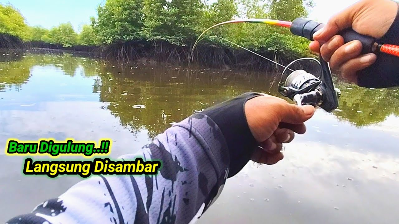 Pasti Betah..!! Kalau Mancing Diujung Spot Meligo Baru Gulung Langsung Sambar