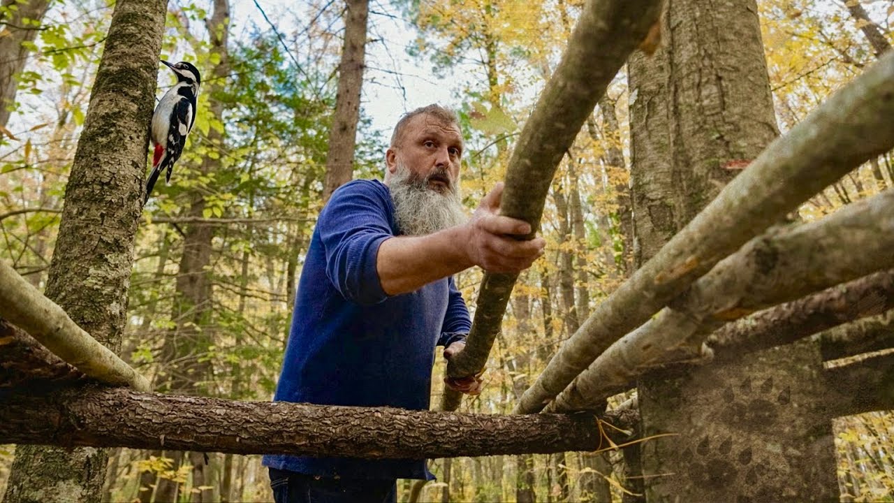 Bushcraft Tree Shelter Built Between Trees | No Nails, Rope & Wood
