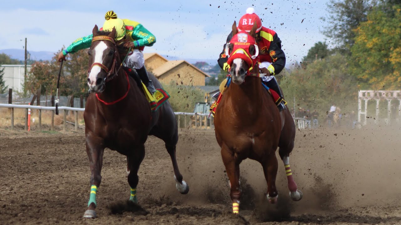 Carreras de Caballos en Yakima, Washington 11 de Octubre 2025