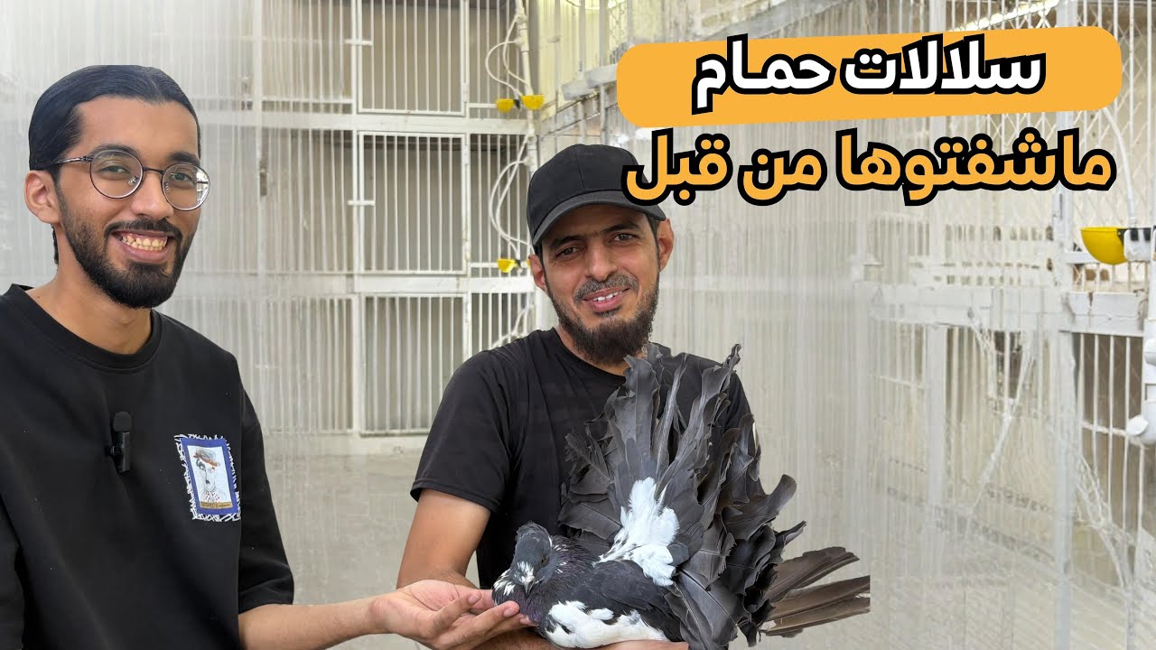 زيارة افضل مربي حمام في السطح