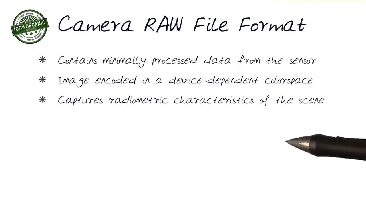 Camera RAW File Format