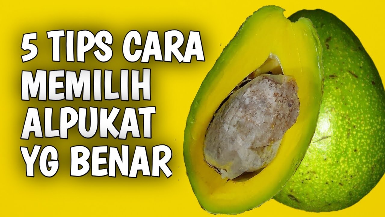 Cara Memilih Alpukat yang Benar