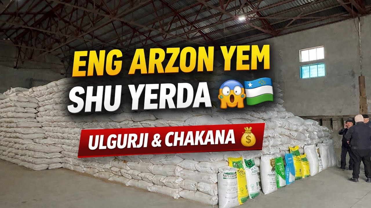 💥 ENG KATTA YEM TARQATUVCHI BAZA – NARXLAR SHOK!