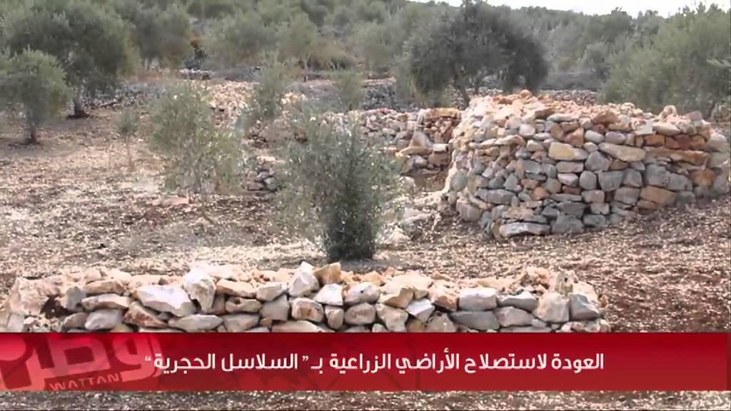 العودة لاستصلاح الأراضي الزراعية بـ 