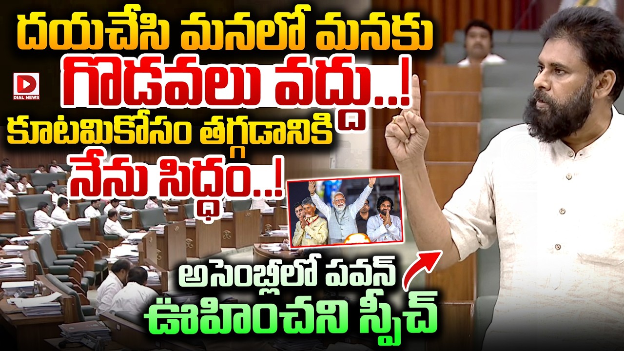 దయచేసి మనలో మనకు గొడవలు వద్దు..! Deputy CM Pawan Kalyan Unexpected Speech in Assembly | Dial News