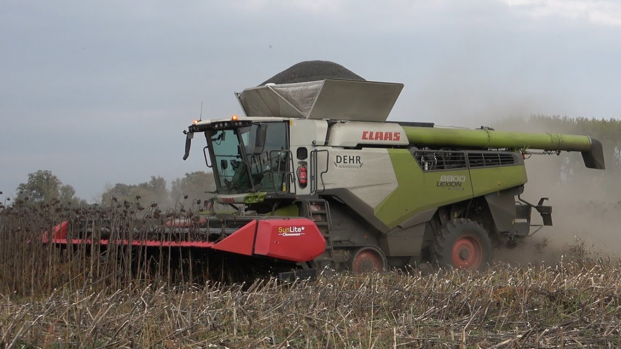 CLAAS LEXION 8800TT mit ein GERINGHOFF SunLite Schneidwerk / Sonnenblumen dreschen / SOUND / 4K