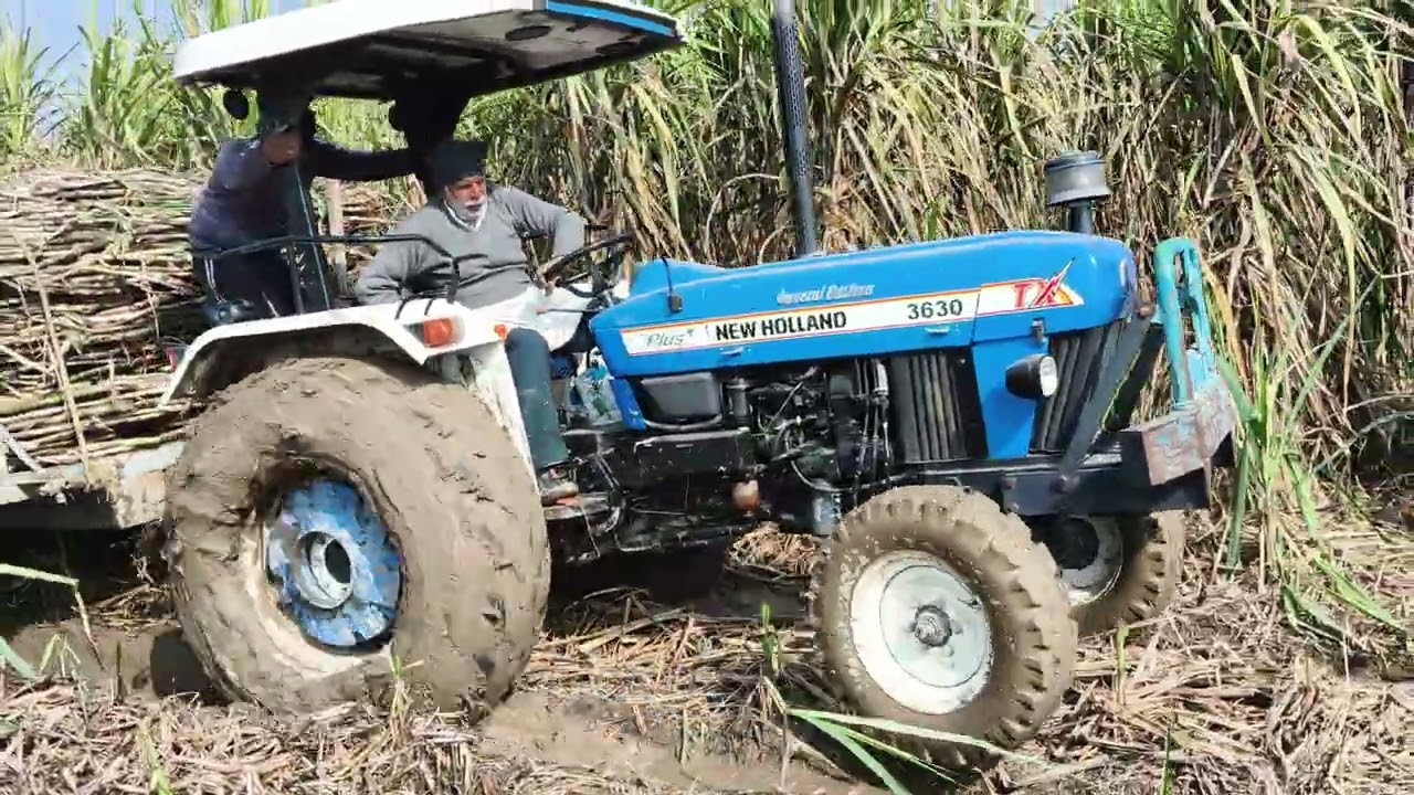 #tyson3630 #tractor /sugarcane loading unloading in sugarcane mill 