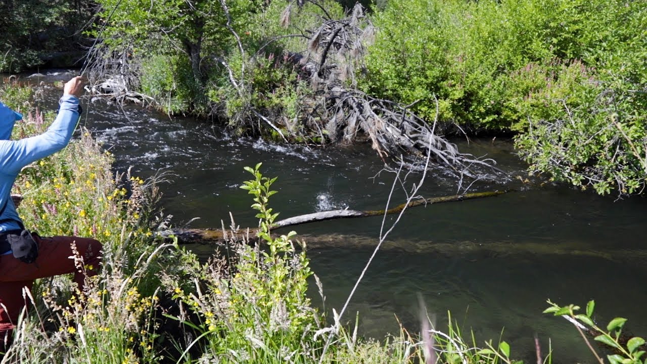 Hat Creek | Fly Fishing Waterfront Land Property For Sale