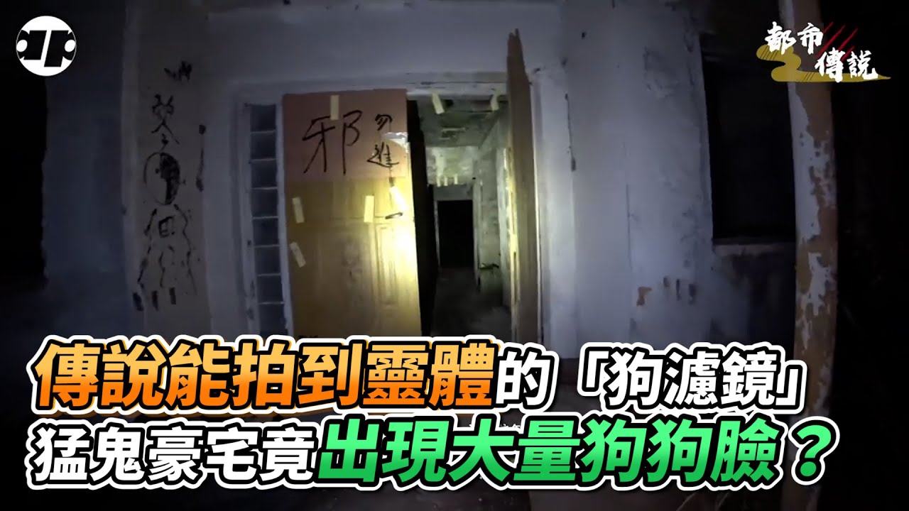 傳說能拍到靈體的「狗濾鏡」猛鬼豪宅竟出現大量狗狗臉？｜VS MEDIAｘ @apateyourcupcake
