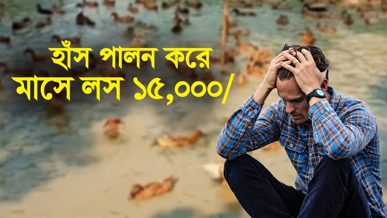 হাঁস পালন করে মাসে লস ১৫,০০০ টাকা || Duck Farm || New Video || Sakir Agro Farm