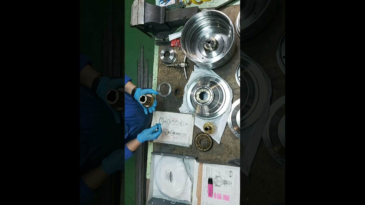 how to overhauled westfalia purifier