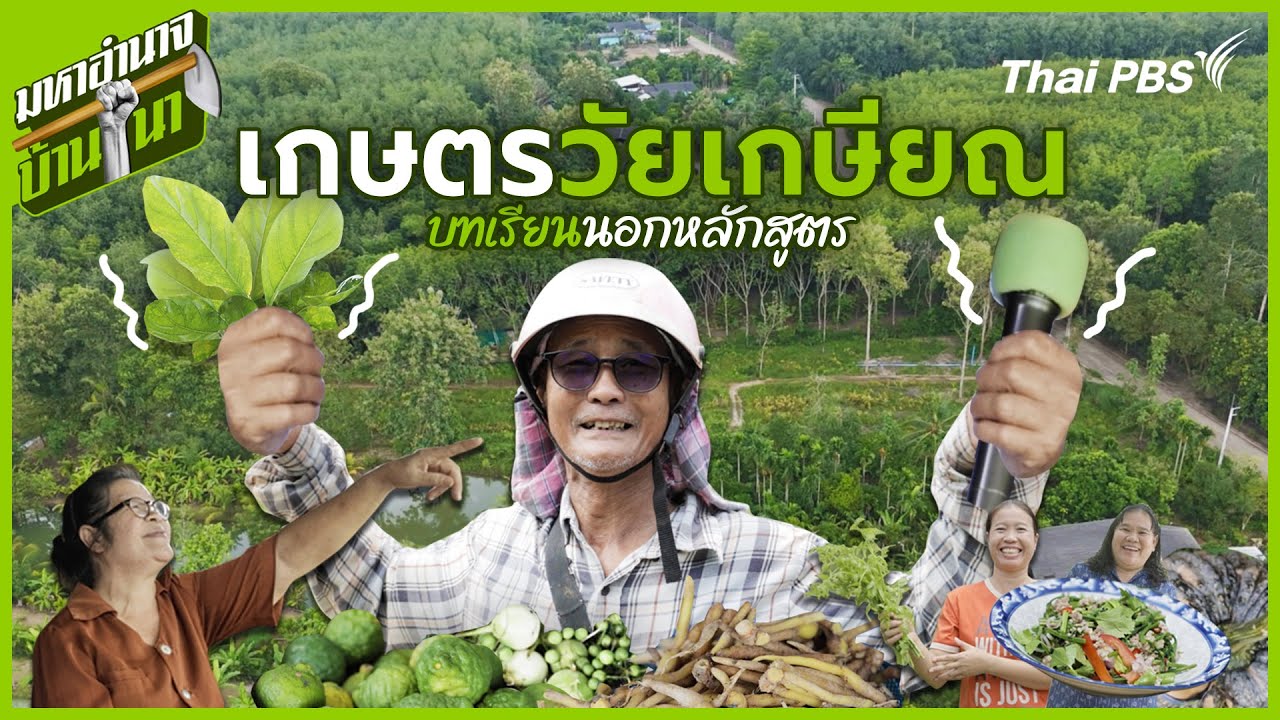 เกษตรวัยเกษียณ บทเรียนนอกหลักสูตร | มหาอำนาจบ้านนา