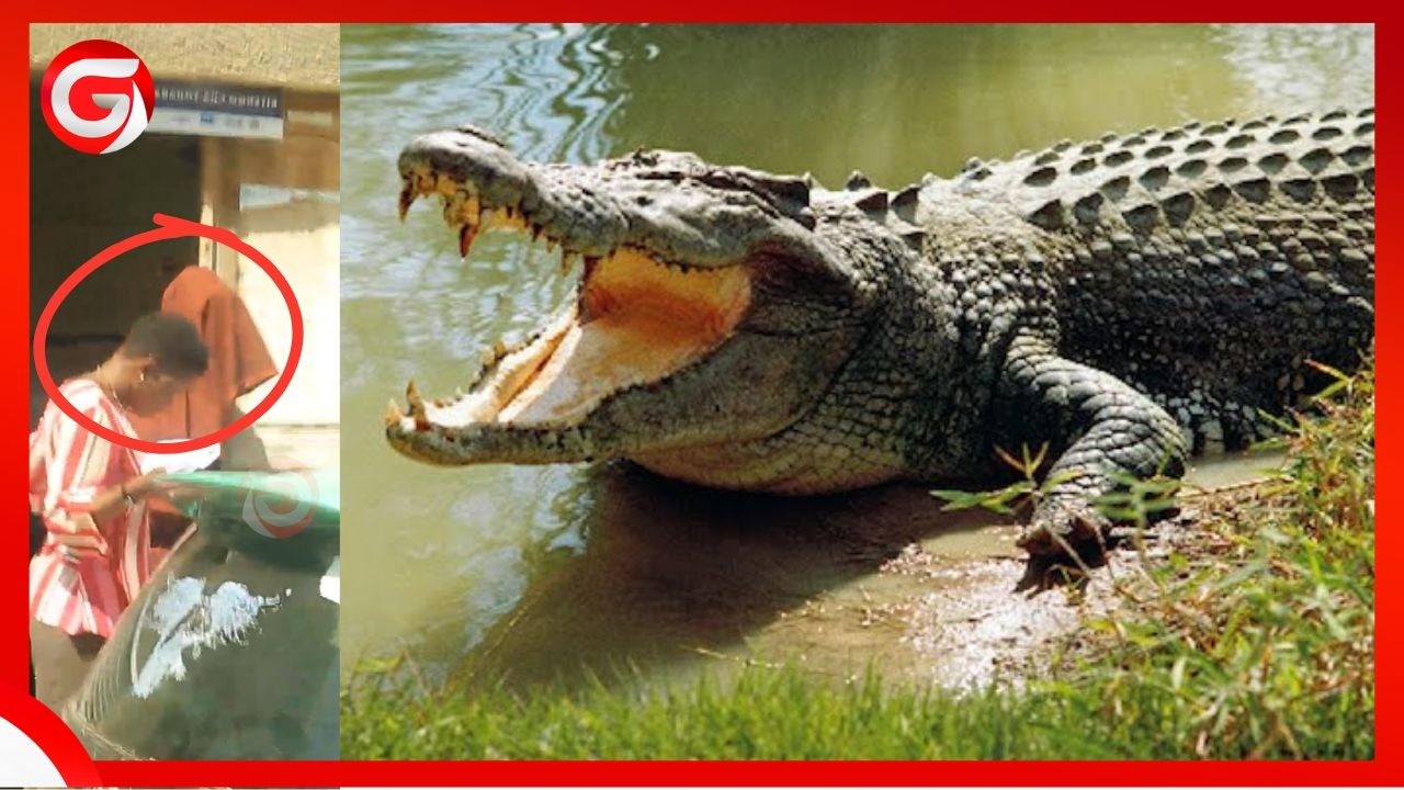 MWANAFUNZI ALIYEDAIWA KULIWA NA MAMBA APATIKANA AKIWA HAI - MZAZI AFICHUA ILIVYOTOKEA....