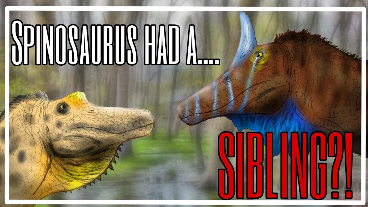 SPINOSAURUS HAD A SIBLING?!? - spinosaurus mirabilis profile