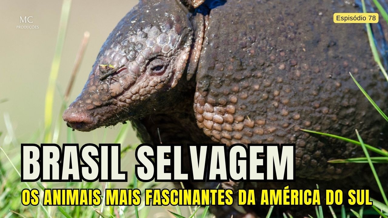 Brasil Selvagem – Os Animais Mais Fascinantes da América do Sul