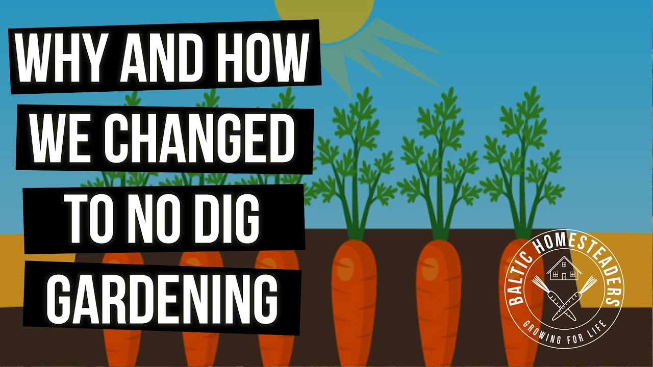 Why and How We Changed to No Dig Permanent Garden Beds