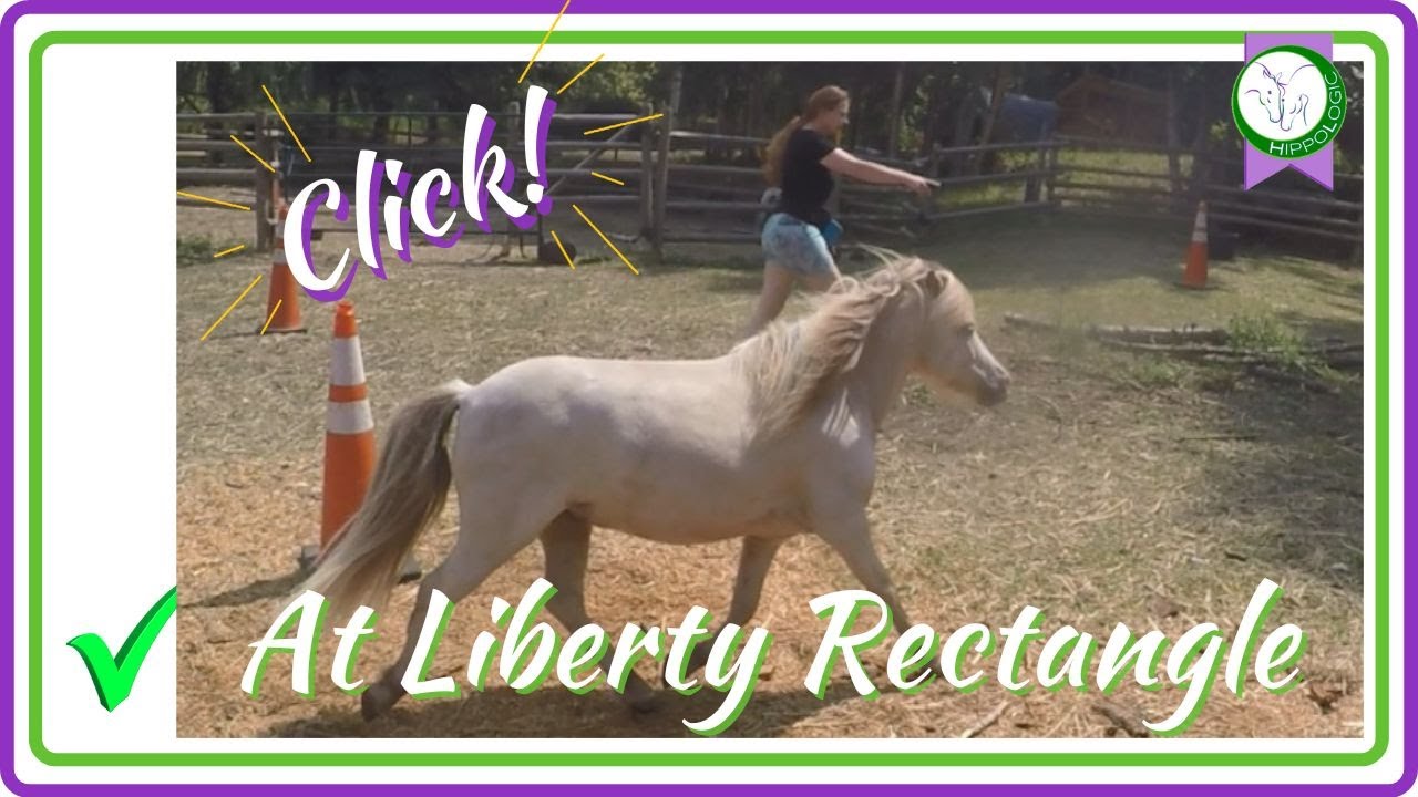 HippoLogic Rectangle at Liberty by HippoLogic Clicker Training
