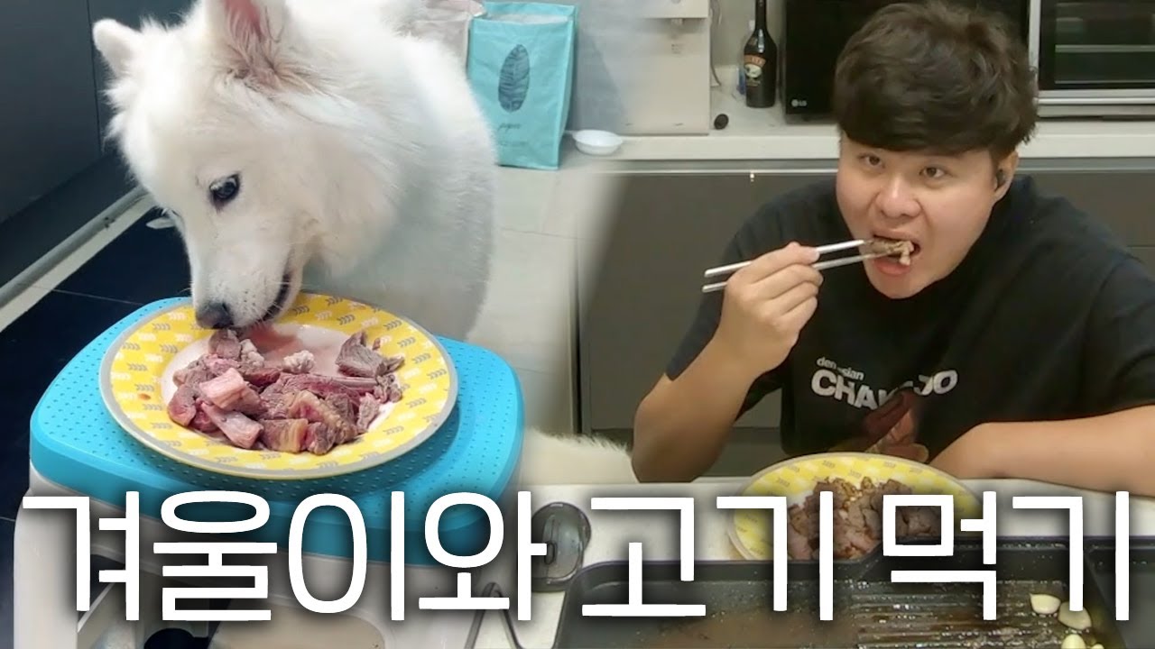 너 한 덩이, 나 한 덩이.. 겨울이랑 고기 나눠먹기!