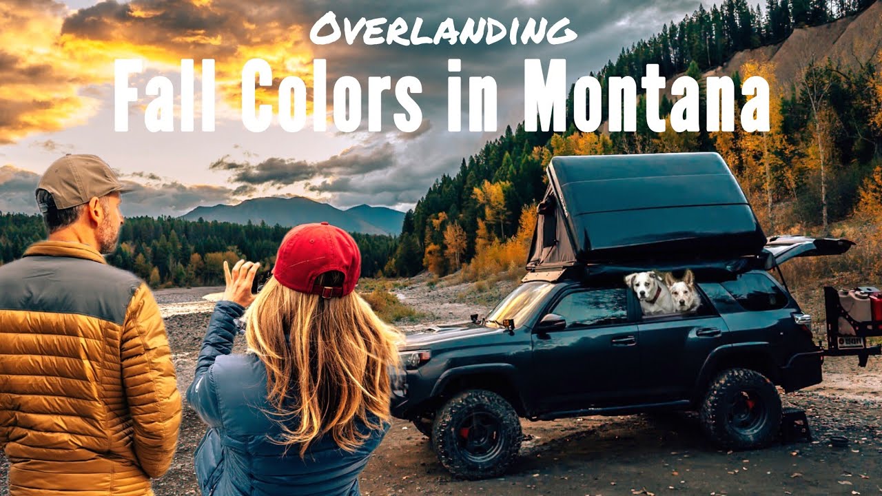 Осенью в Монтане 🍂