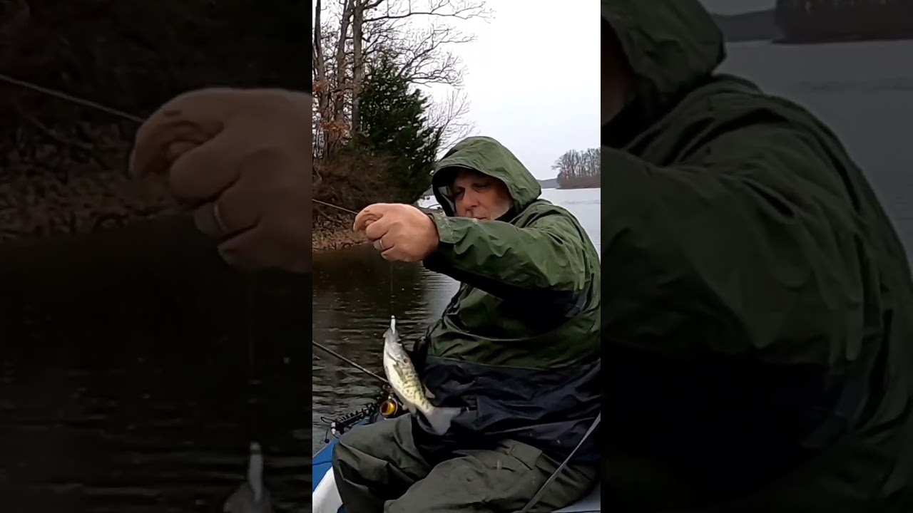 PRETTY LITTLE CRAPPIE #crappiefishing #trending #viral #blackcrappie #blackcrappie #shortsvideo