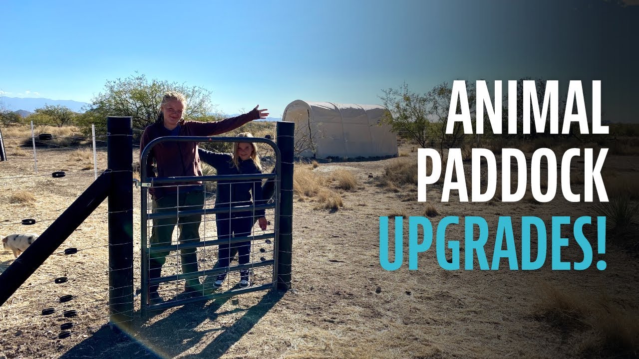 Electric Fence: Will it keep our pigs in?
