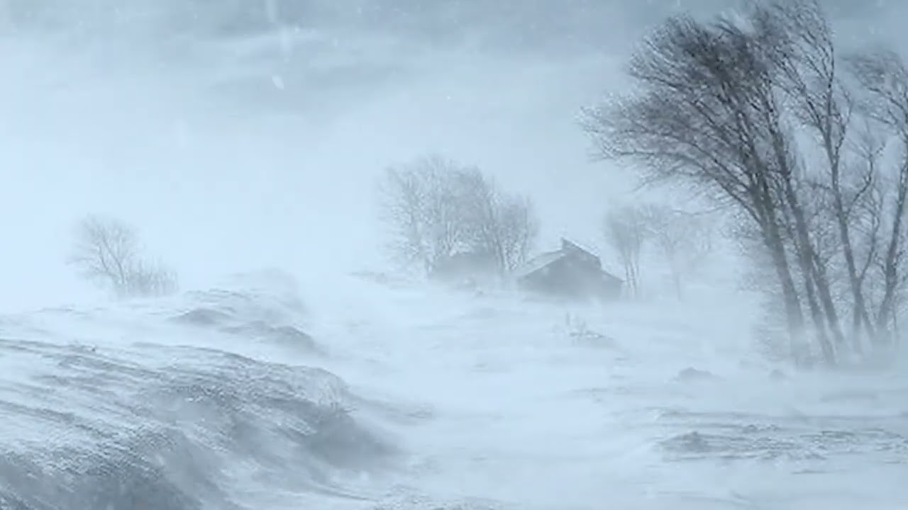 Ultimate Snow Blizzard & Blowing Snow Storm Sounds | Realistic Nature Sounds & Ambient Winter Wind