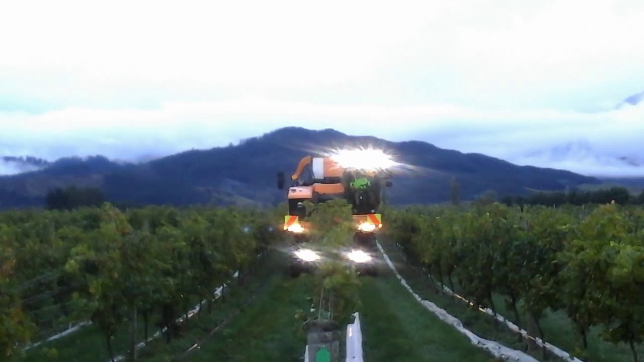 Machine Grape Harvester - Pellenc 890