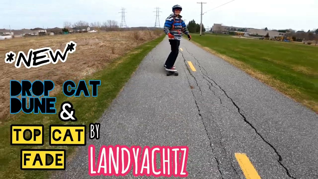 New LANDYACHTZ TOP CAT Fade_ and Drop Cat Dune _Skate & Explore! #landyachtz #skatergirl #longboard