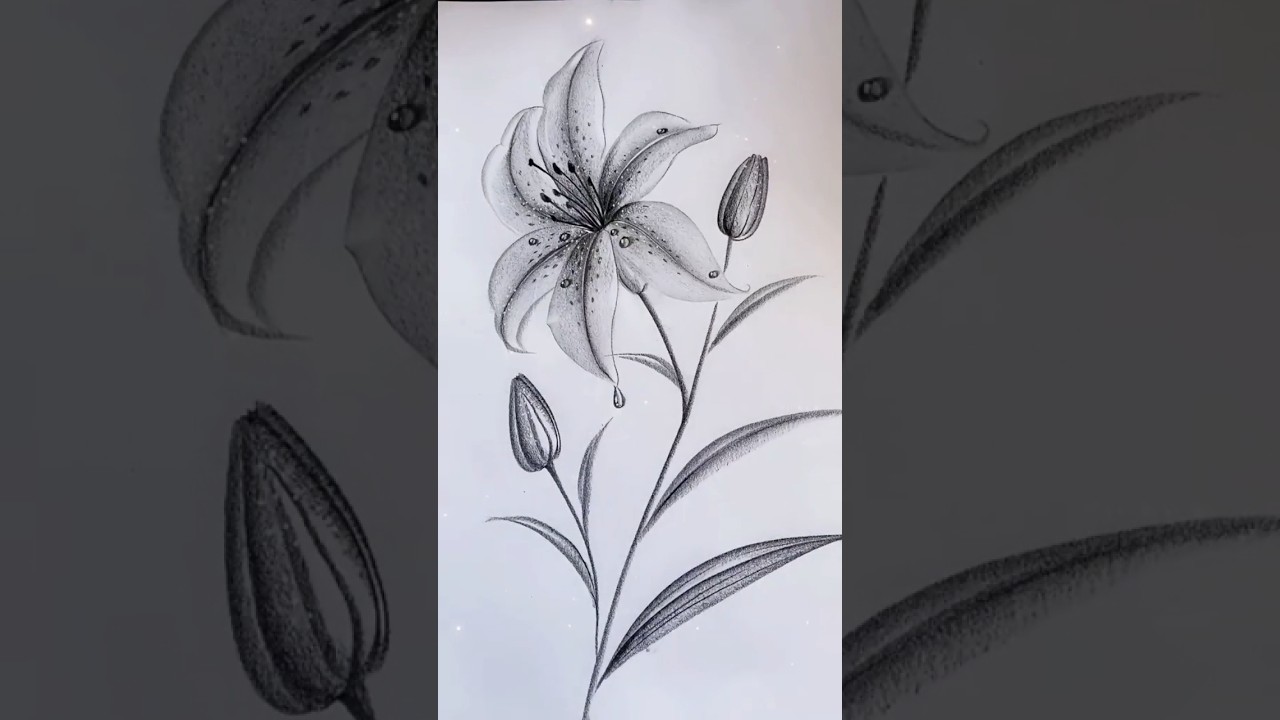 Pencil sketch of flower।। #art #sketch #pencildrawing #drawing #badshah #terikasam