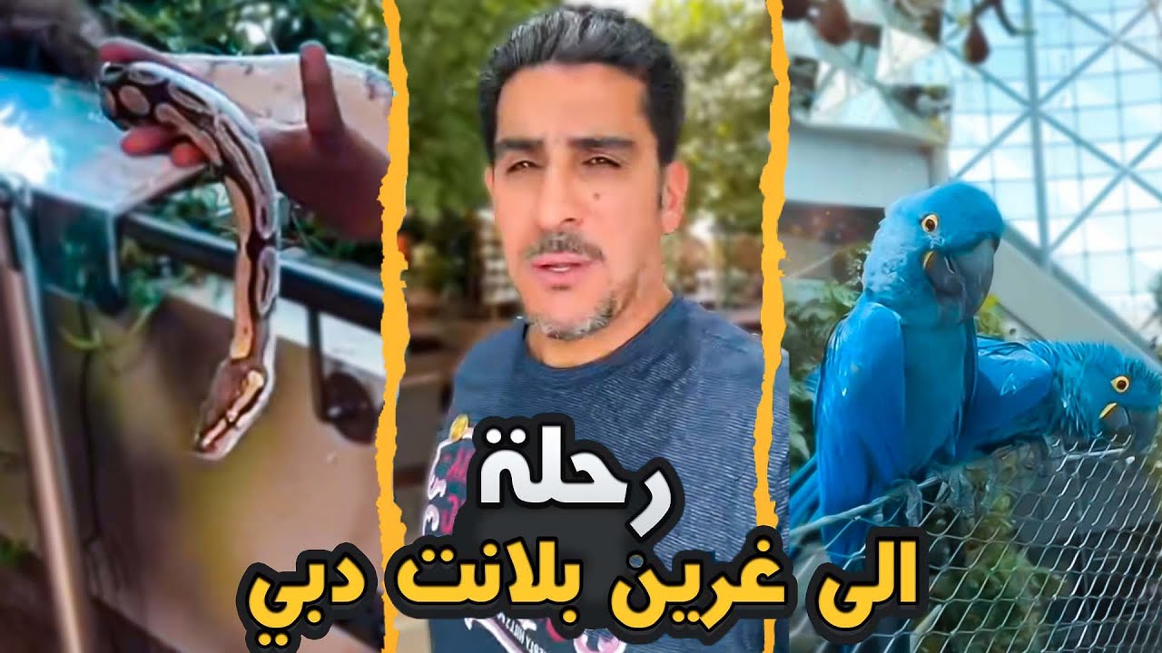 رحلة الى غرين بلانت دبي ياسر البحري ٢٠٢٢