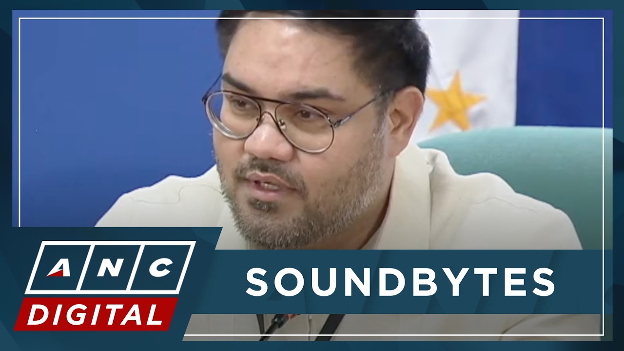 Ortega: VP Duterte's non-declaration of cash, stock 'red flags' | ANC