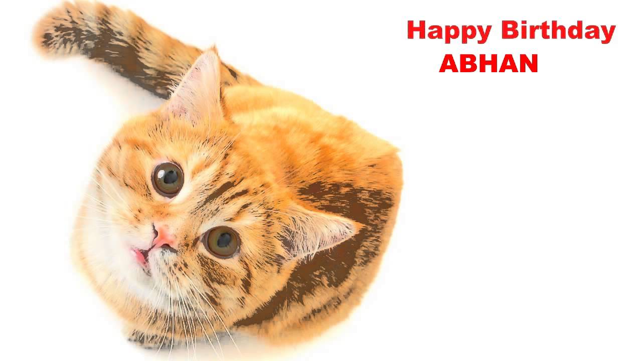Abhan   Cats Gatos - Happy Birthday