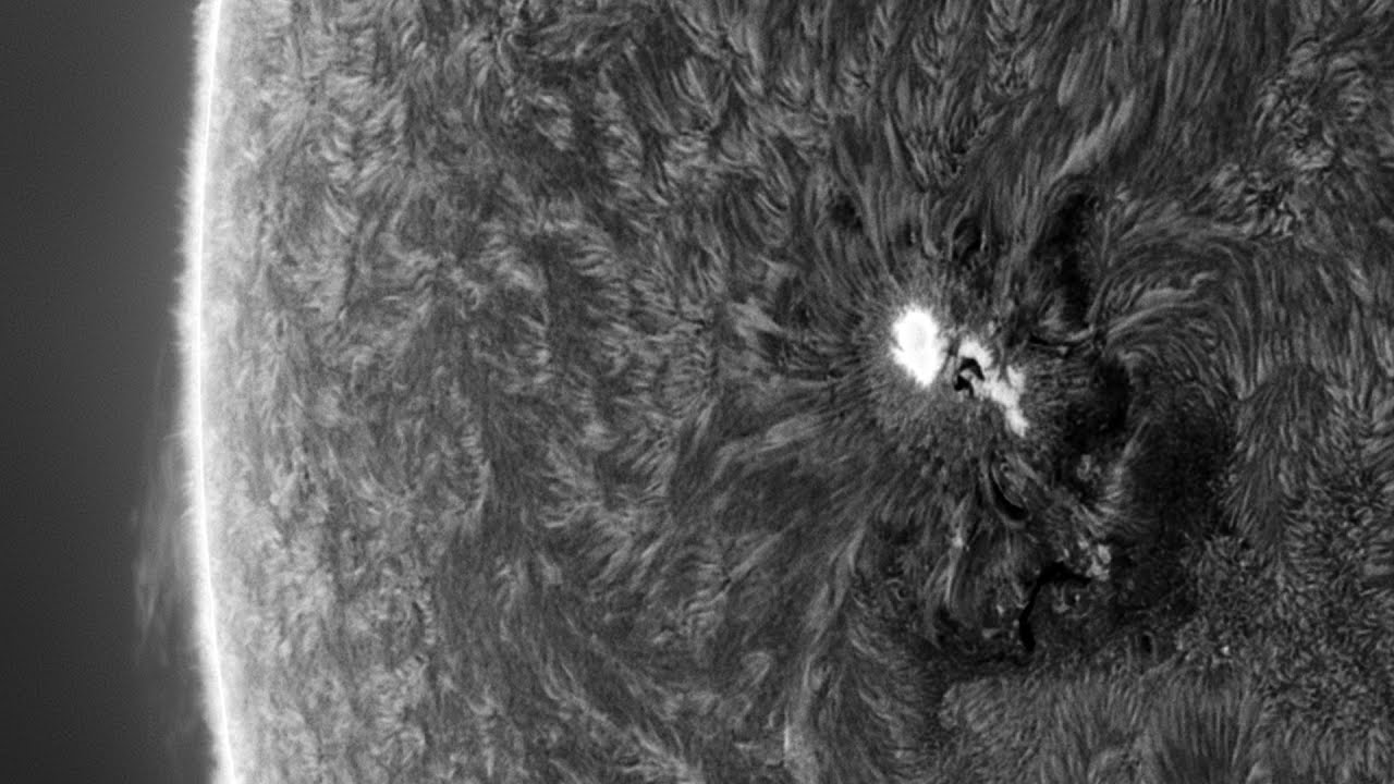 Looping Solar Flare! Active Region 4079 Captured With My Solar Telescope