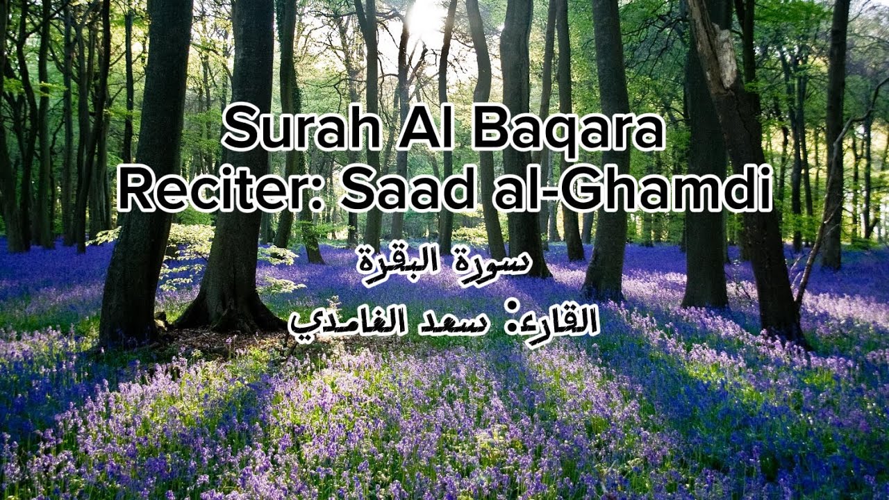 Surah Al-Baqarah (Full) | Beautiful Quran سورة البقرة كاملة – القرآن الكريم قارء سعد الغامدي