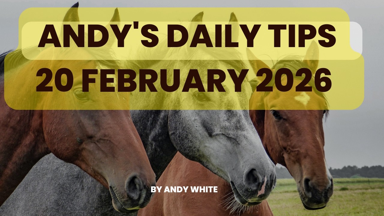 Andy's Daily Tips for Horse Racing, Friday, 20th February, 2026